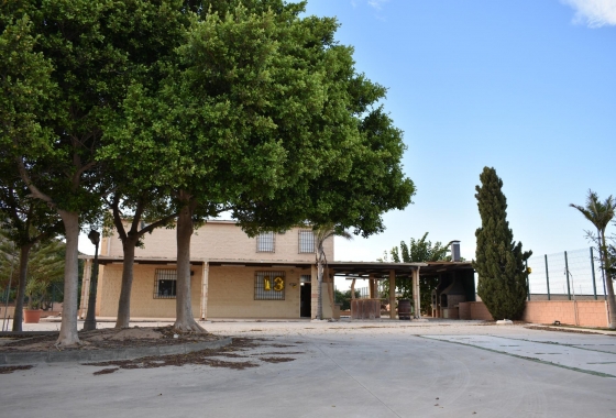 Herverkoop - Finca - Torre Pacheco - Dolores De Pacheco