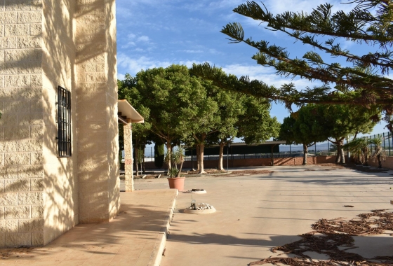 Herverkoop - Finca - Torre Pacheco - Dolores De Pacheco