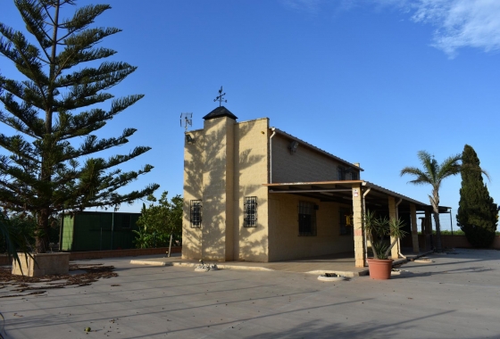 Herverkoop - Finca - Torre Pacheco - Dolores De Pacheco