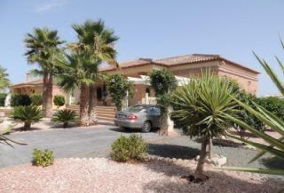 Перепродажа - Вилла - Catral