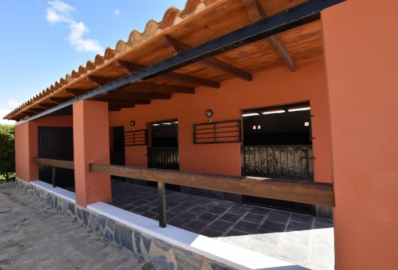 Wiederverkauf - Finca - Formentera del Segura - Costa Blanca