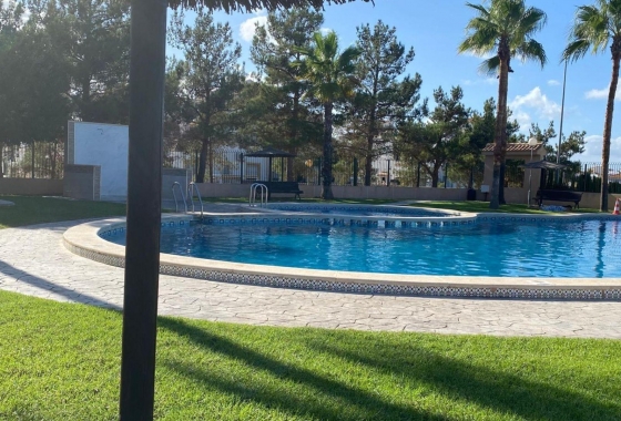 Wiederverkauf - Stadthaus - Torrevieja - Los Balcones