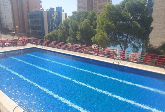 Wiederverkauf - Wohnung - Benidorm - Costa Blanca