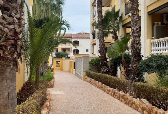 Wiederverkauf - Wohnung - Torrevieja - Costa Blanca