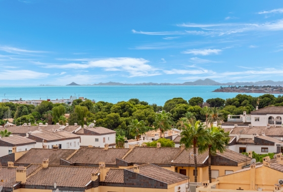 Herverkoop - Appartement / flat - Torrevieja - Costa Blanca