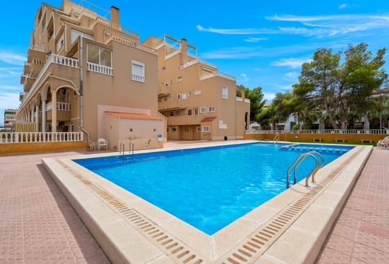 Herverkoop - Appartement / flat - Torrevieja - Costa Blanca