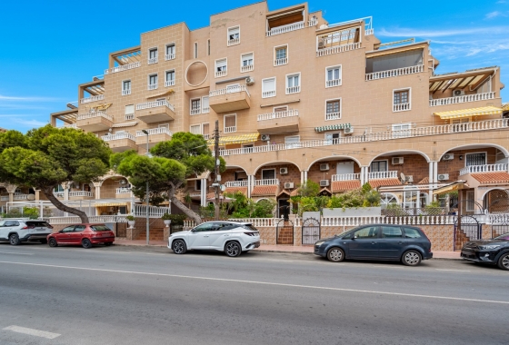 Herverkoop - Appartement / flat - Torrevieja - Costa Blanca