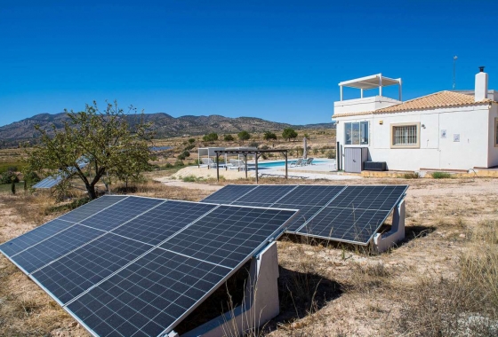 Wiederverkauf - Villa - Pinoso - Inland