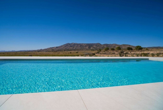 Wiederverkauf - Villa - Pinoso - Inland