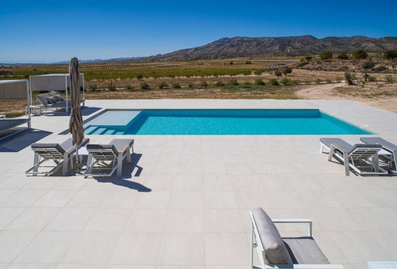 Wiederverkauf - Villa - Pinoso - Inland