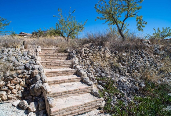 Wiederverkauf - Villa - Pinoso - Inland