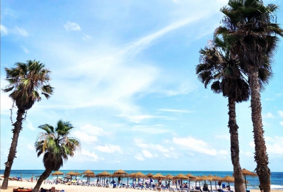 Herverkoop - Appartement / flat - La Mata - Costa Blanca