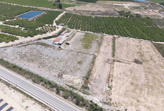 Herverkoop - Finca - Los Montesinos