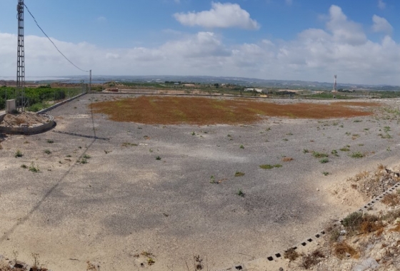 Herverkoop - Finca - Los Montesinos