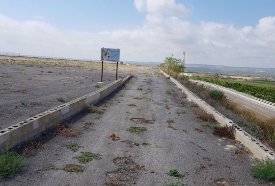 Herverkoop - Finca - Los Montesinos