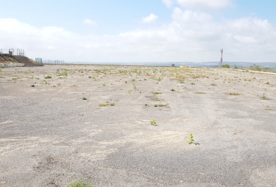 Herverkoop - Finca - Los Montesinos