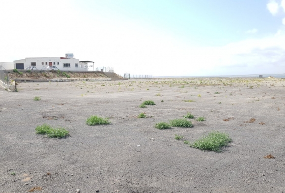 Herverkoop - Finca - Los Montesinos