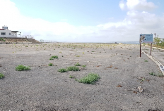 Herverkoop - Finca - Los Montesinos