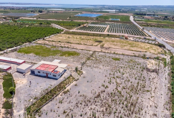 Herverkoop - Finca - Los Montesinos