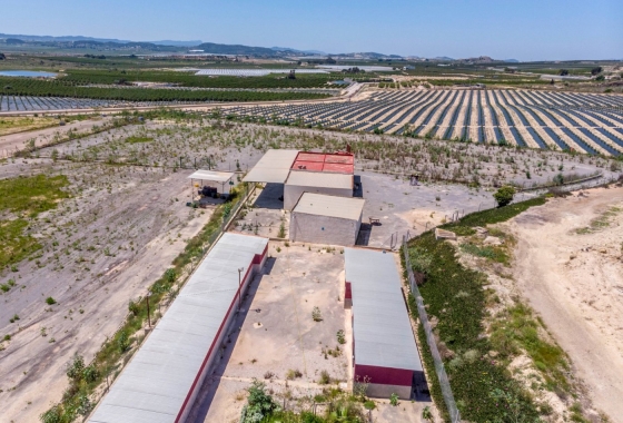 Herverkoop - Finca - Los Montesinos