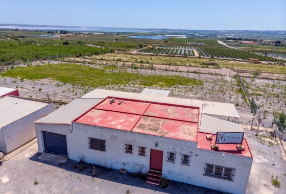 Herverkoop - Finca - Los Montesinos