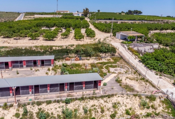 Herverkoop - Finca - Los Montesinos