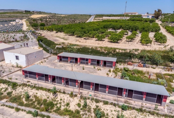 Herverkoop - Finca - Los Montesinos