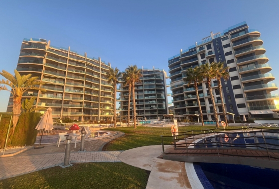 Wiederverkauf - Wohnung - Torrevieja - Costa Blanca