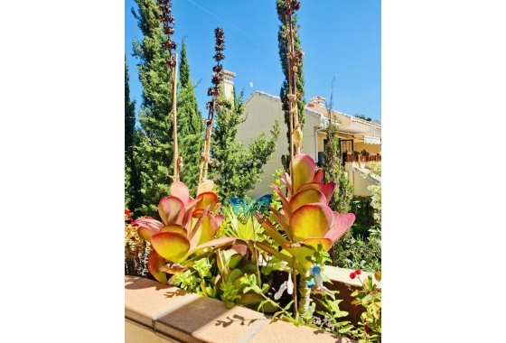 Wiederverkauf - Wohnung - Orihuela Costa - Costa Blanca