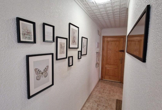 Herverkoop - Appartement / flat - Torrevieja - Playa de los Locos