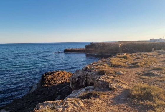 Herverkoop - Appartement / flat - Torrevieja - Playa de los Locos