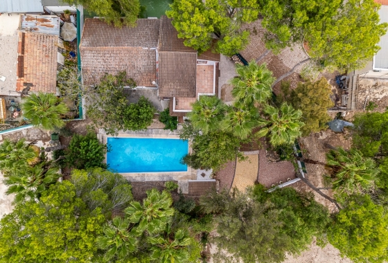 Wiederverkauf - Finca - Orihuela - Inland