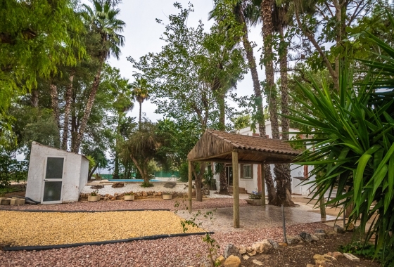 Wiederverkauf - Finca - Orihuela - Inland