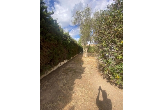 Herverkoop - Villa - Torrevieja - Costa Blanca