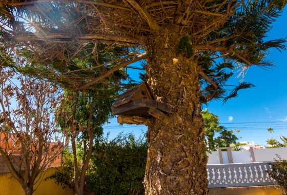 Herverkoop - Villa - Torrevieja - Costa Blanca