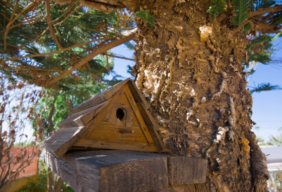 Herverkoop - Villa - Torrevieja - Costa Blanca