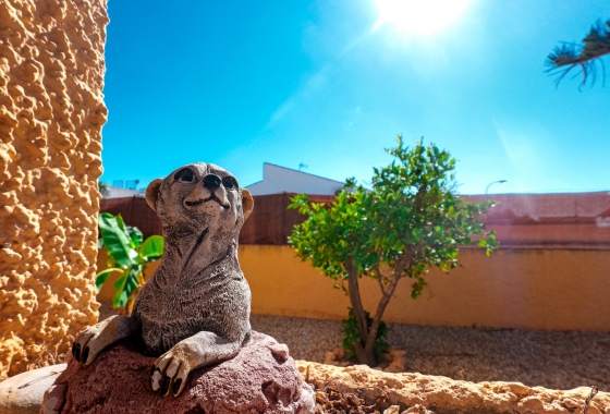 Herverkoop - Villa - Torrevieja - Costa Blanca