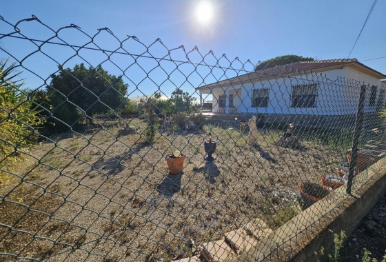 Wiederverkauf - Finca - Guardamar del Segura - Buenavista