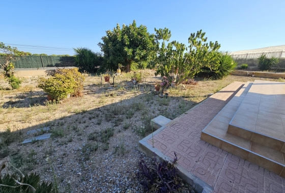 Wiederverkauf - Finca - Guardamar del Segura - Buenavista