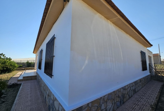 Wiederverkauf - Finca - Guardamar del Segura - Buenavista