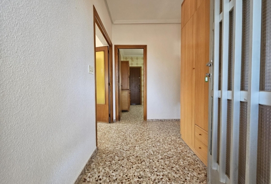 Wiederverkauf - Finca - Guardamar del Segura - Buenavista