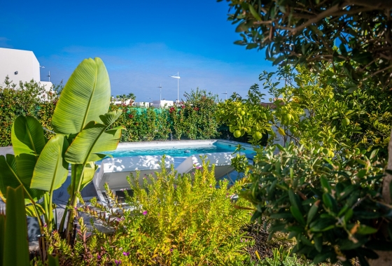 Herverkoop - Villa - Algorfa - Inland