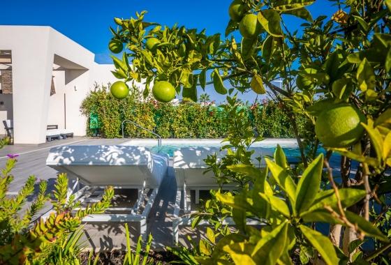 Herverkoop - Villa - Algorfa - Inland