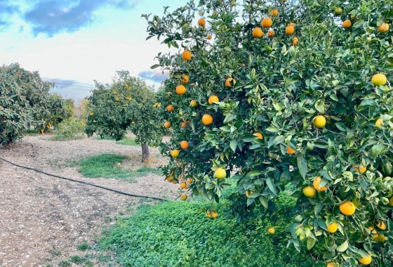 Wiederverkauf - Villa - Benidorm - Salto Del Agua