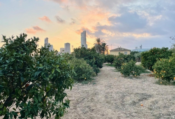 Wiederverkauf - Villa - Benidorm - Salto Del Agua