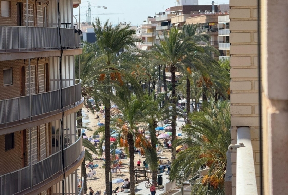 Wiederverkauf - Wohnung - Torrevieja - Playa del Cura