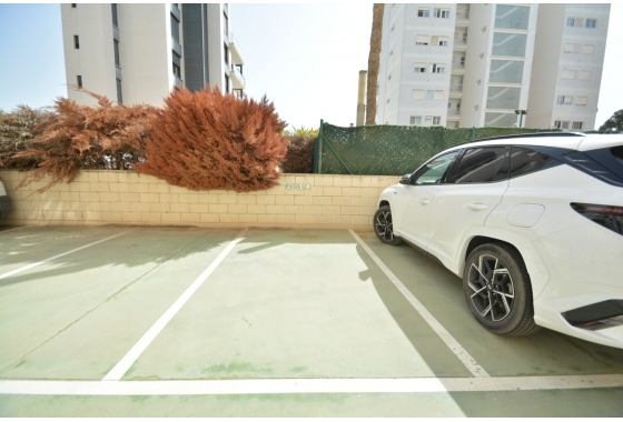 Herverkoop - Appartement / flat - Guardamar del Segura - Costa Blanca