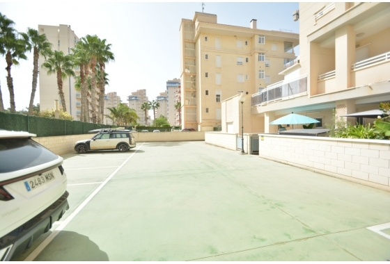 Herverkoop - Appartement / flat - Guardamar del Segura - Costa Blanca