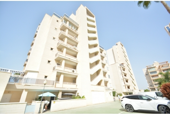 Herverkoop - Appartement / flat - Guardamar del Segura - Costa Blanca