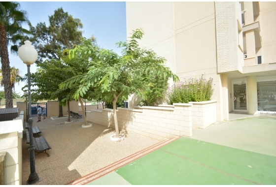 Herverkoop - Appartement / flat - Guardamar del Segura - Costa Blanca